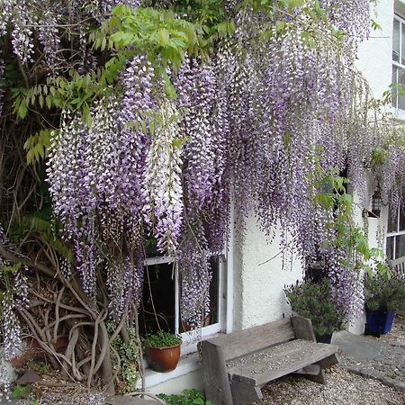Appartamento Half Moon House Hay-On-Wye Esterno foto