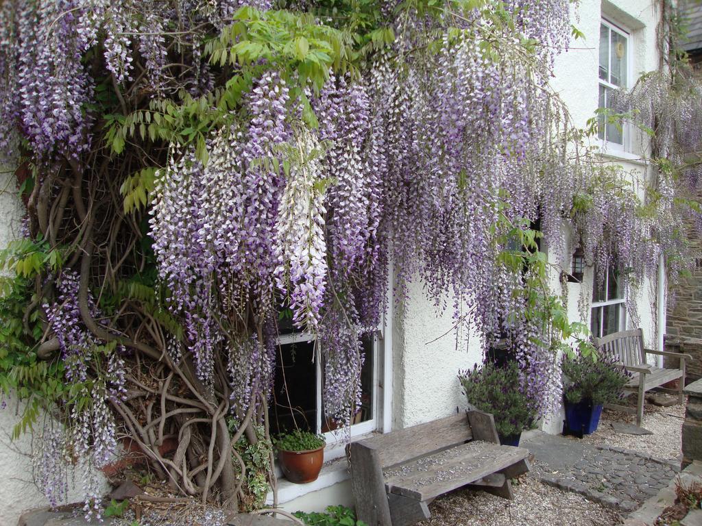 Appartamento Half Moon House Hay-On-Wye Esterno foto